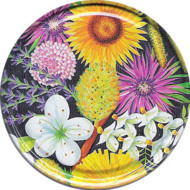 la-mise-en-pots-les-capsules-les-capsules-non-sterilisables-capsule-to-63-melliflor-la-capsule