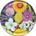 la-mise-en-pots-les-capsules-les-capsules-non-sterilisables-capsule-to-63-melliflor-la-capsule