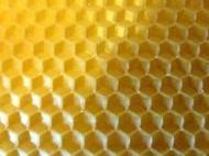 les-ruches-la-cire-cire-gaufree-cire-a-section-le-kg