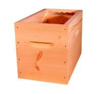 les-ruches-les-ruchettes-ruchettes-dadant-corps-d6-eco-en-25-mm