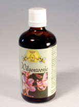 boutique-les-produits-de-sante-teinture-epilobe-parvifleur-100-ml