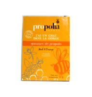 boutique-les-produits-de-sante-divers-gommes-propolis-orange