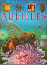 boutique-la-librairie-grand-public-enfants-les-abeilles