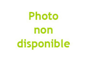 boutique-la-librairie-produits-de-la-ruche-les-bienfaits-du-mie