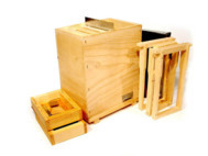 le-travail-au-rucher-l-elevage-des-reines-nuclei-nuclei-duo-nuc-accordeon-dadant