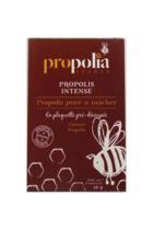 boutique-les-produits-de-sante-divers-propolis-pure-a-macher-10-g