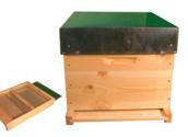les-ruches-les-ruches-completes-ruches-dadant-10-cadres-ruche-dadant-10-cadres-eco-sans-cadre-avec-plancher-anti-varroa