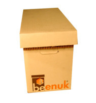 les-ruches-les-ruchettes-ruchettes-carton-ruchette-beenuck-en-carton-a-monter