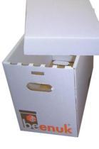 les-ruches-les-ruchettes-ruchettes-carton-ruchette-beenuck-montee